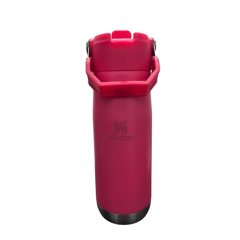 Garrafa Esportiva Térmica 650ml/900ml Com Alça e Canudo Flip