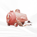 Garrafa Infantil Modelo Avião 500ml Com Copo Removível